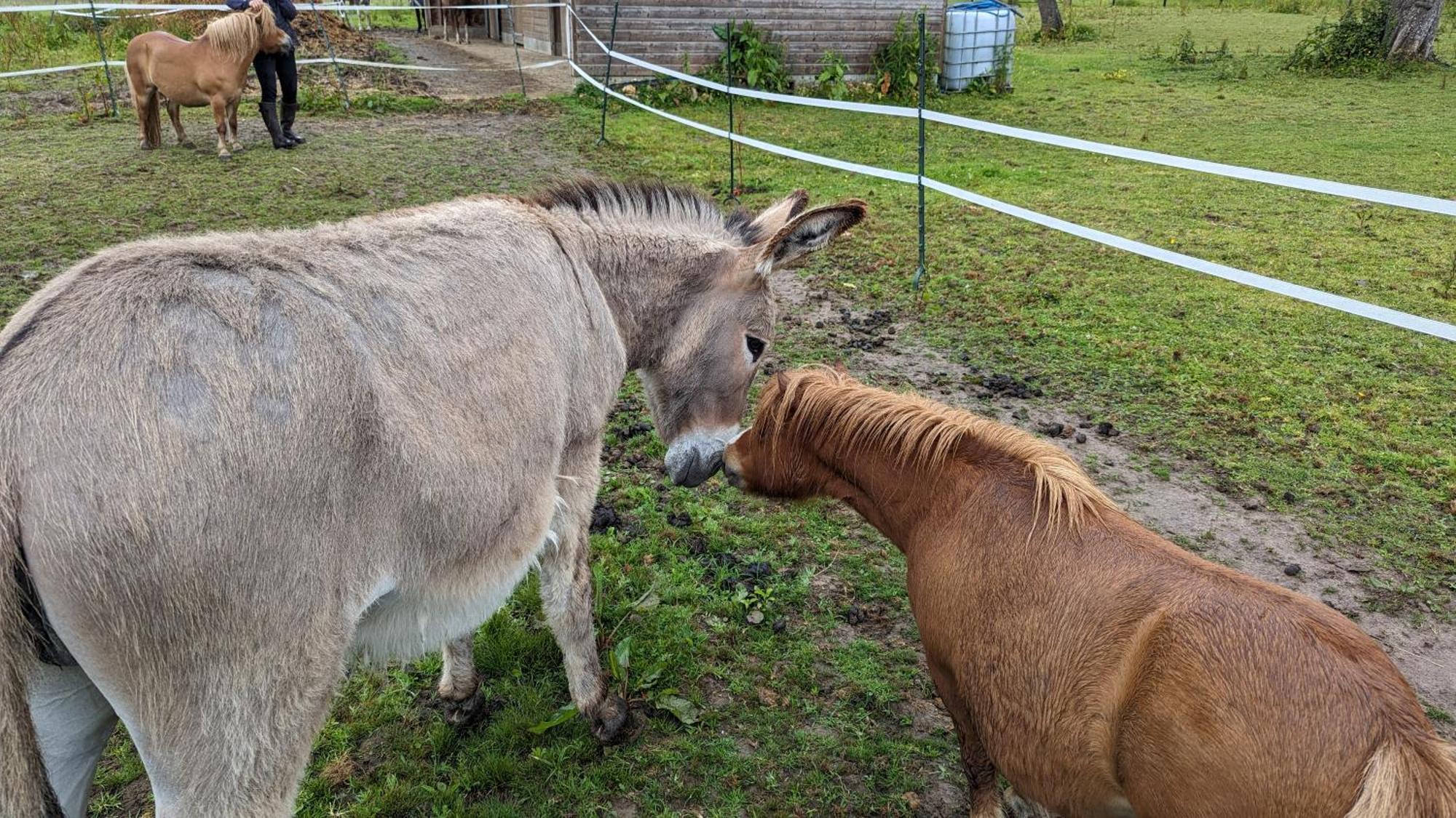 Gite Chez Loupi Épaignes Eksteriør billede